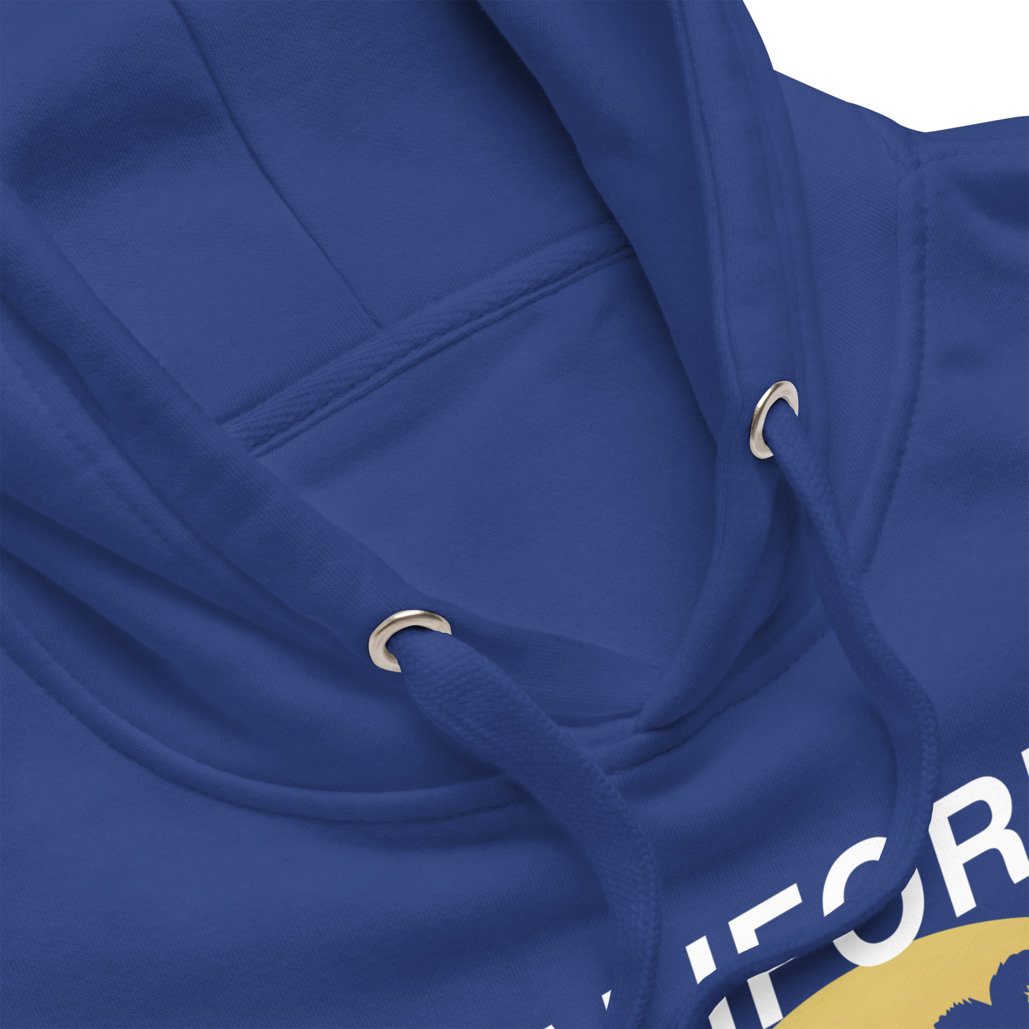 California Sucks Hoodie